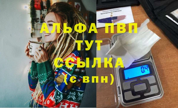 МДПВ Каменногорск