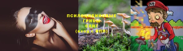 мет Карпинск