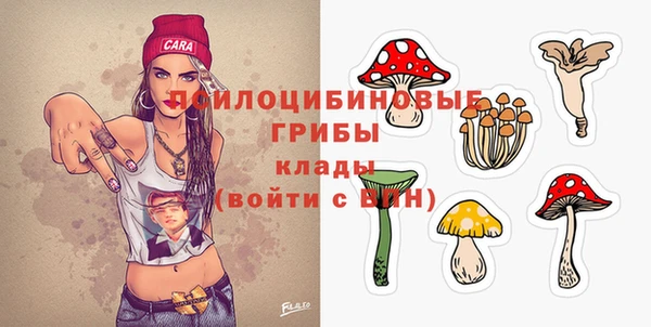 молекула духа Карталы
