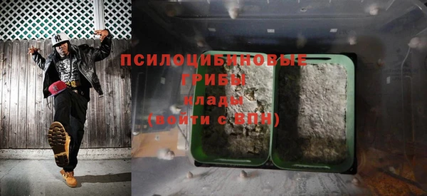 МДПВ Каменногорск