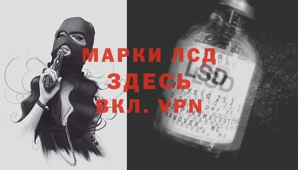 МДПВ Каменногорск