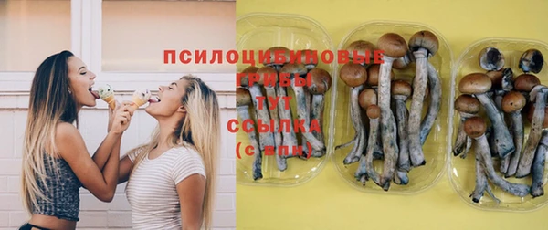 МДПВ Каменногорск