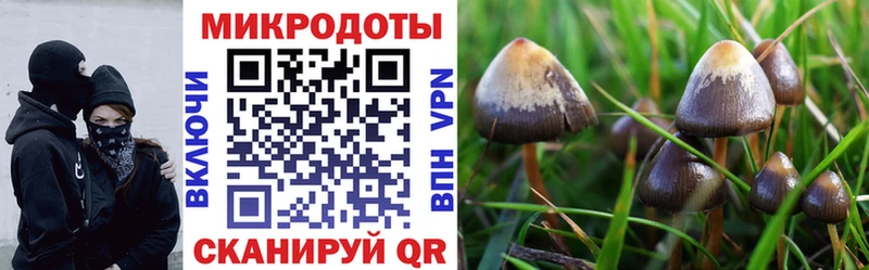 Галлюциногенные грибы прущие грибы  Купить где  Электроугли 